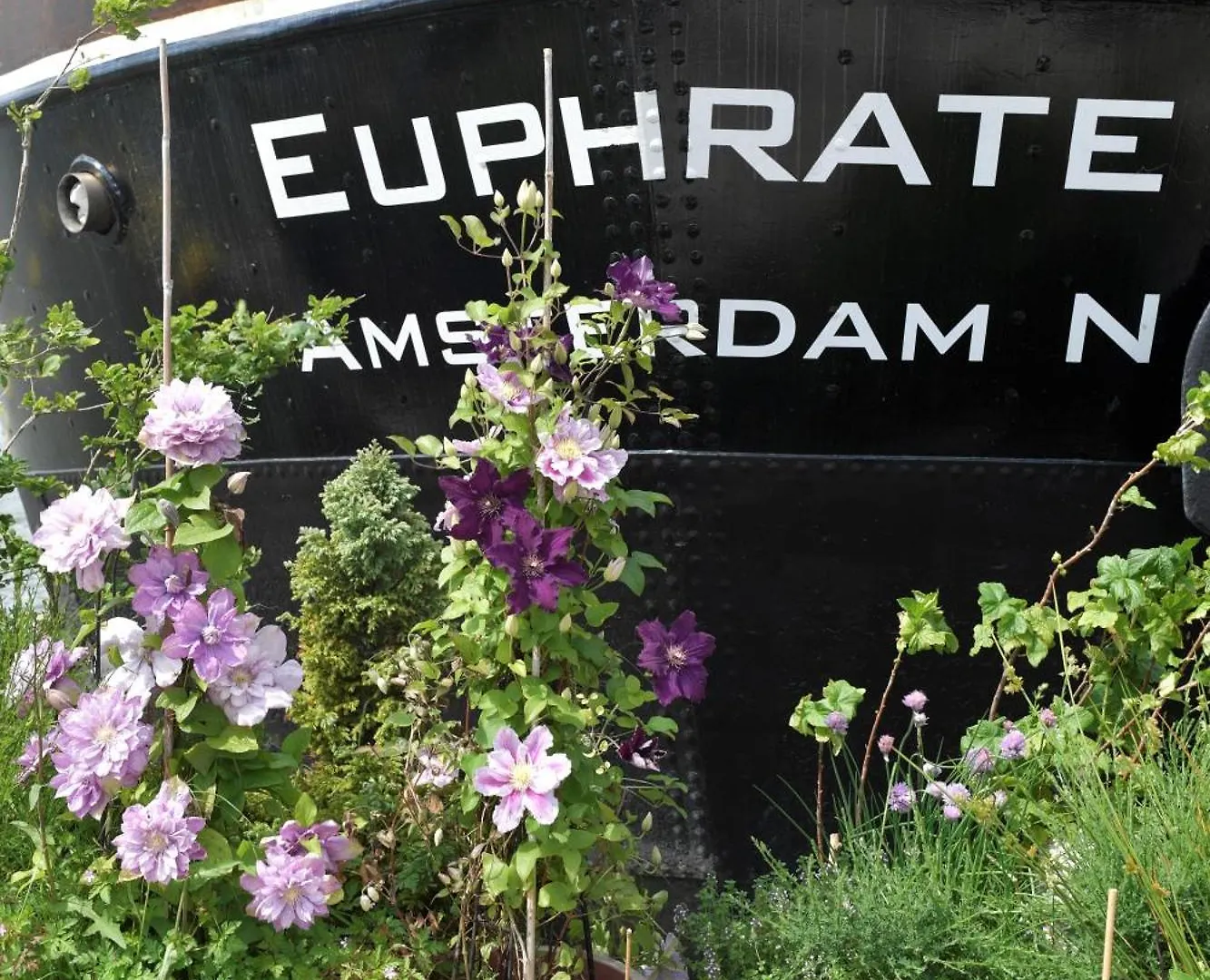 Wheelhouse Euphrate Houseboat Bed & Breakfast Diemen Netherlands